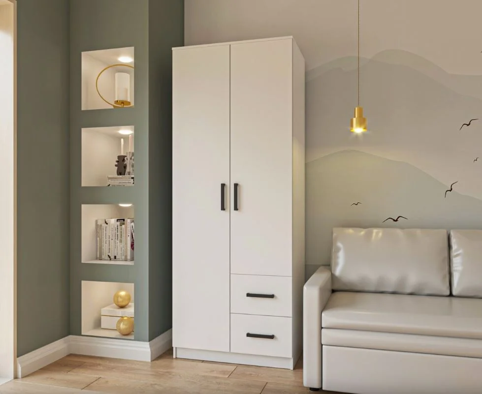 shkafy-dvukhdvernye-shkafy-shkaf-simple-2d2s-2