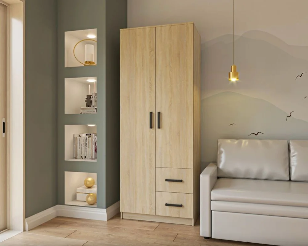 shkafy-dvukhdvernye-shkafy-shkaf-simple-2d2s-2