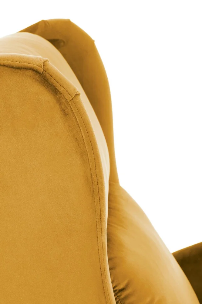 upholstered-furniture-lounge-chairs-lounge-chair-agustin-mustard-5