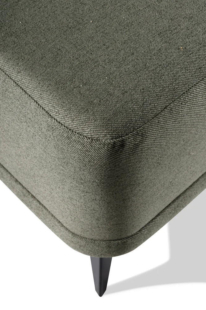 myagkaya-mebel-divany-divan-dizhon-3