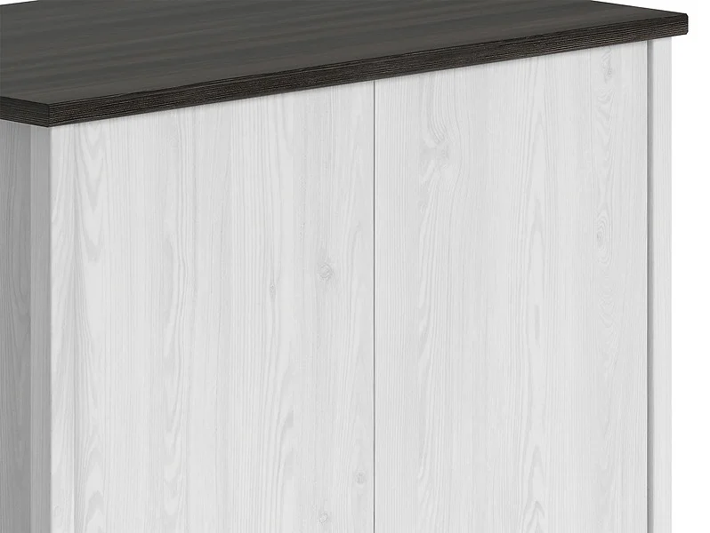 prikhozhaya-shkafy-shkaf-szf2d1s-4