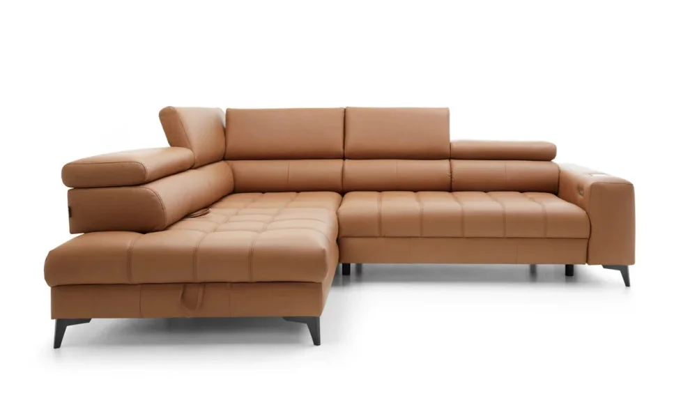 myagkaya-mebel-kozhanye-divany-uglovye-divany-kozhanyy-uglovoy-divan-baggio-5