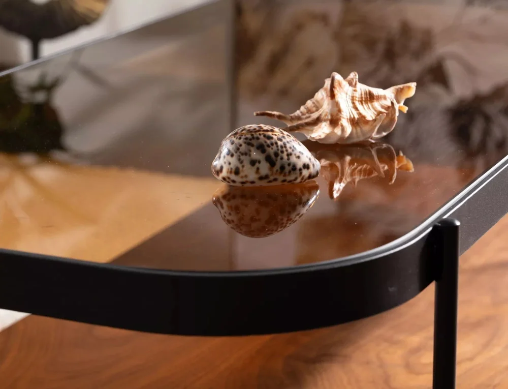 dlya-gostinoy-zhurnalnye-stoliki-zhurnal-prima-a-5