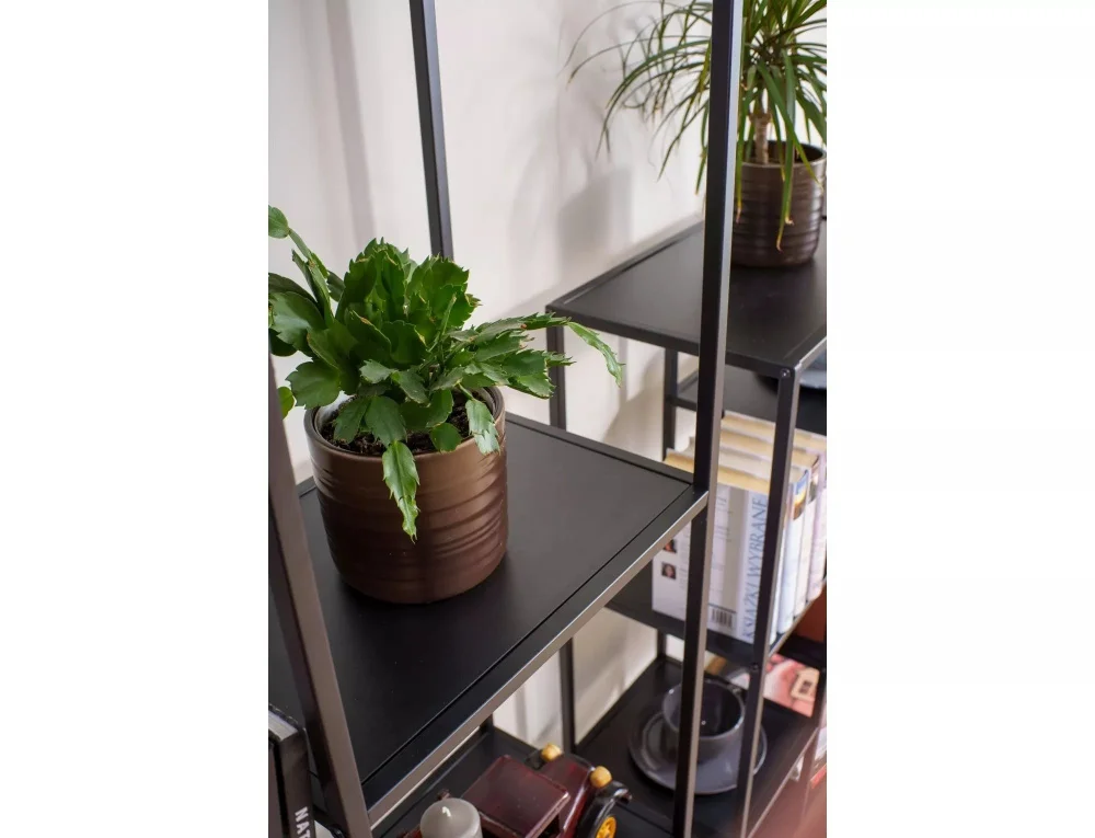 dlya-gostinoy-polki-polka-kosta-b-4