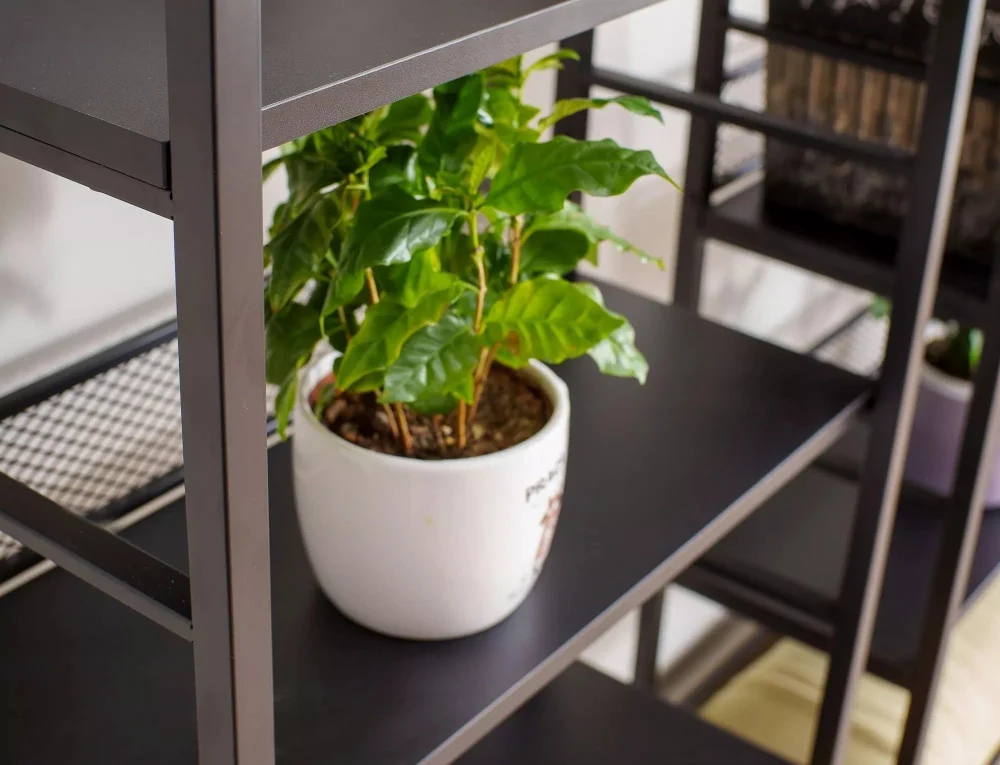 dlya-gostinoy-polki-stoyka-raw-r5-3