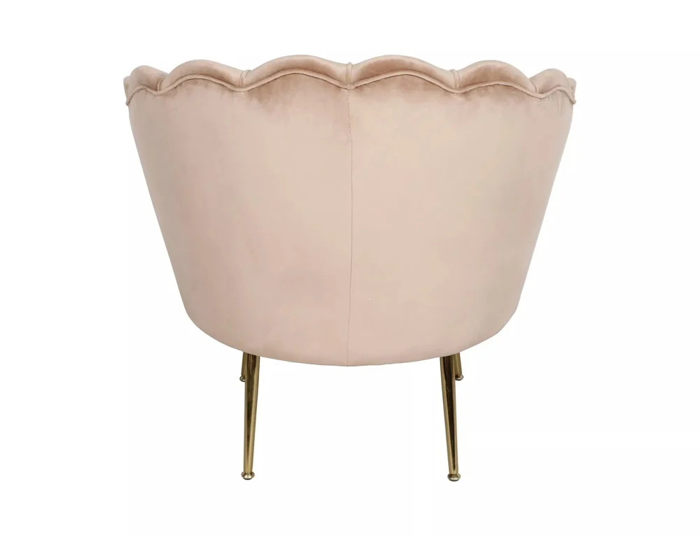 myagkaya-mebel-kresla-dlya-otdykha-kreslo-dlya-otdykha-kameliya-1-5