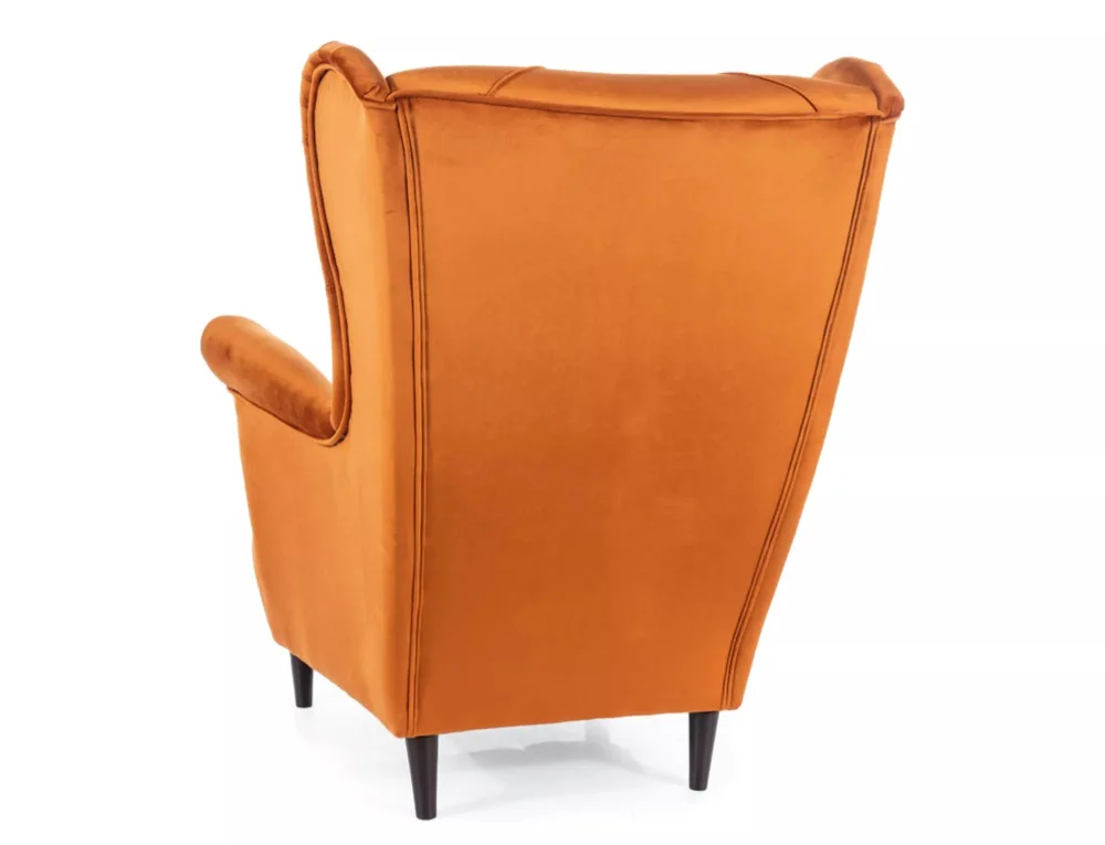 myagkaya-mebel-kresla-dlya-otdykha-kreslo-dlya-otdykha-ledi-2