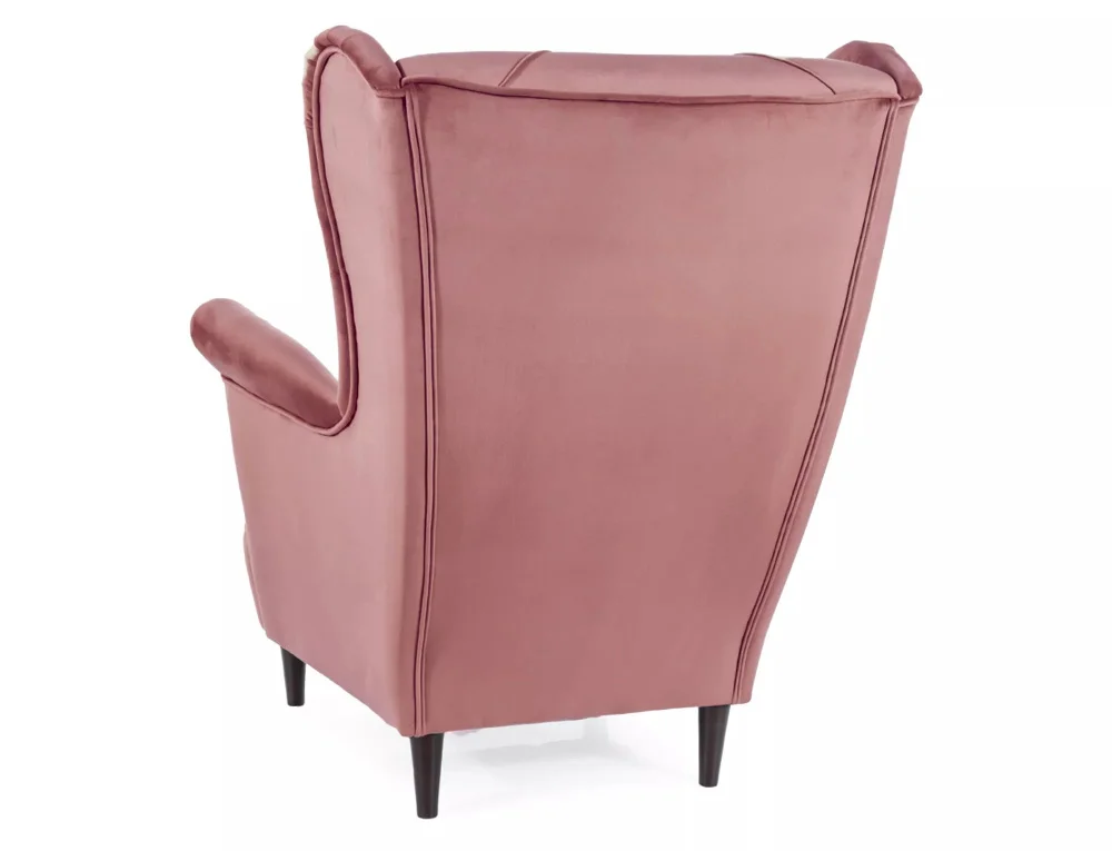 myagkaya-mebel-kresla-dlya-otdykha-kreslo-dlya-otdykha-ledi-2