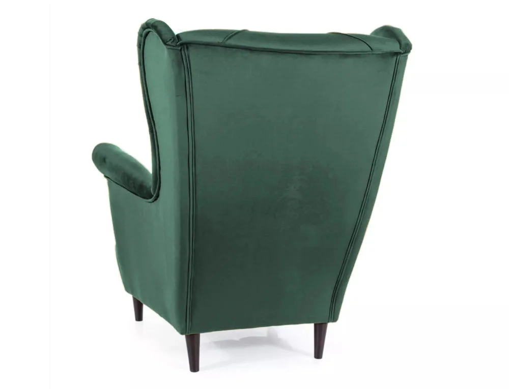 myagkaya-mebel-kresla-dlya-otdykha-kreslo-dlya-otdykha-ledi-3