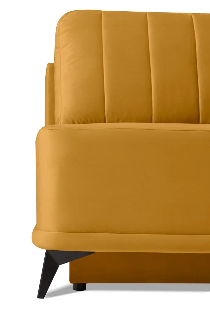 myagkaya-mebel-divany-divan-dizhon-3