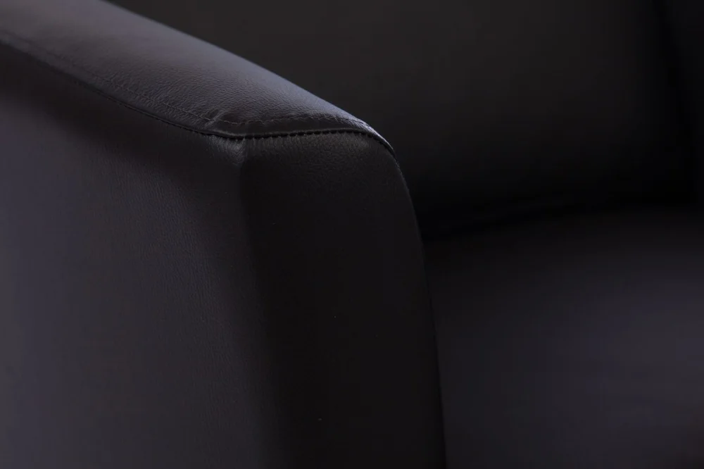 upholstered-furniture-leather-sofas-double-sofas-leather-sofa-boss-8