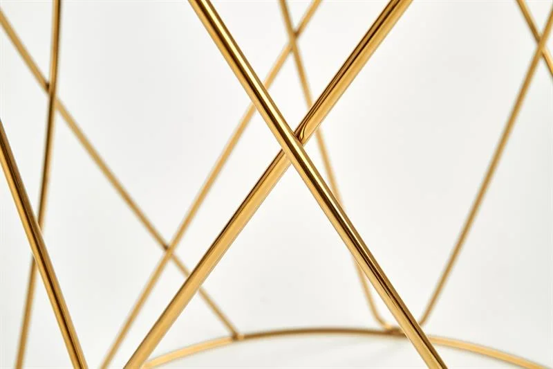 viesistabai-zurnalgaldi-zurnalgalds-selena-5