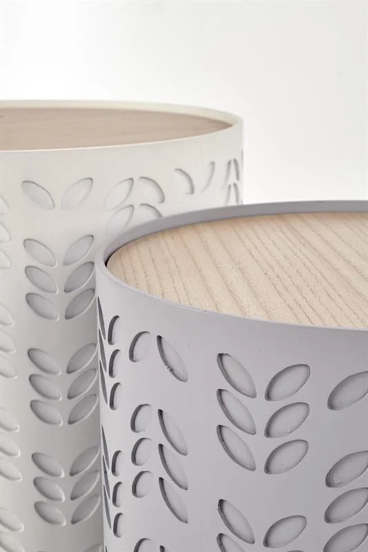 viesistabai-zurnalgaldi-zurnalgalds-alba-3