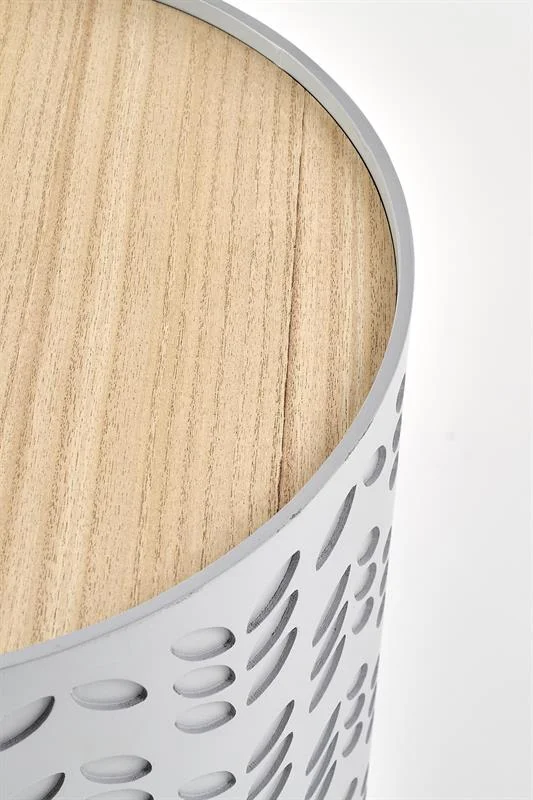 viesistabai-zurnalgaldi-zurnalgalds-alba-8