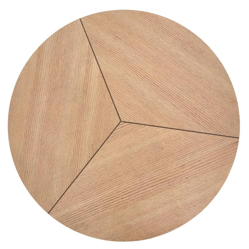 dlya-gostinoy-zhurnalnye-stoliki-kofeynyy-stolik-karida-7