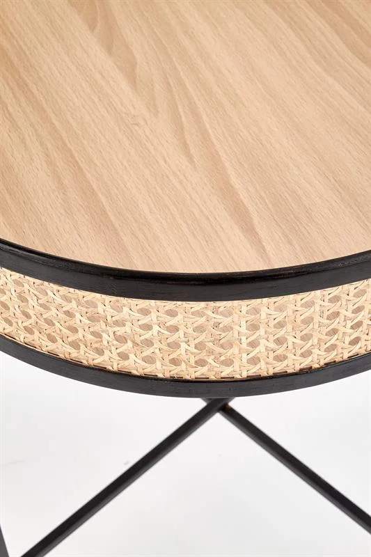 viesistabai-zurnalgaldi-zurnalgalds-lanipa-4