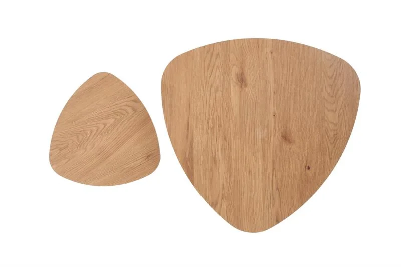 viesistabai-zurnalgaldi-zurnalgalds-nicea-2-10