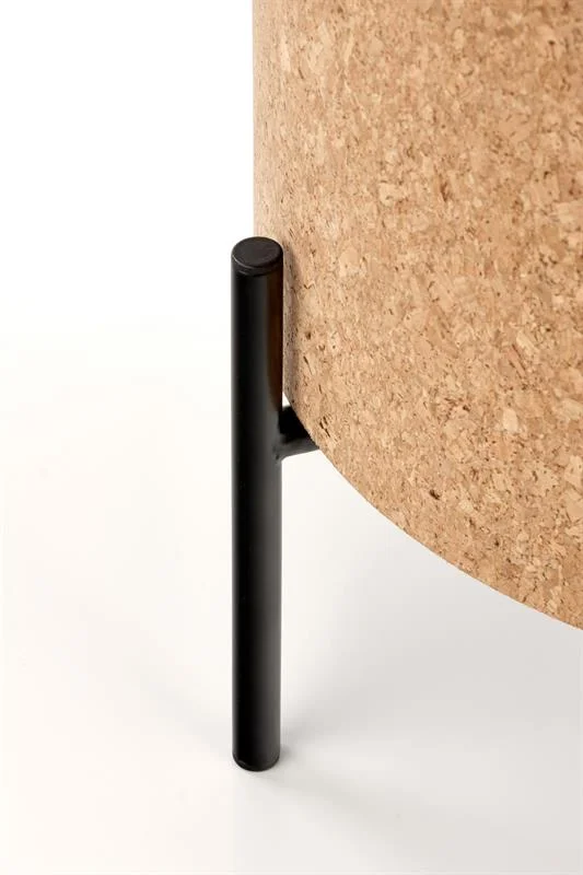 viesistabai-zurnalgaldi-zurnalgalds-sasha-5