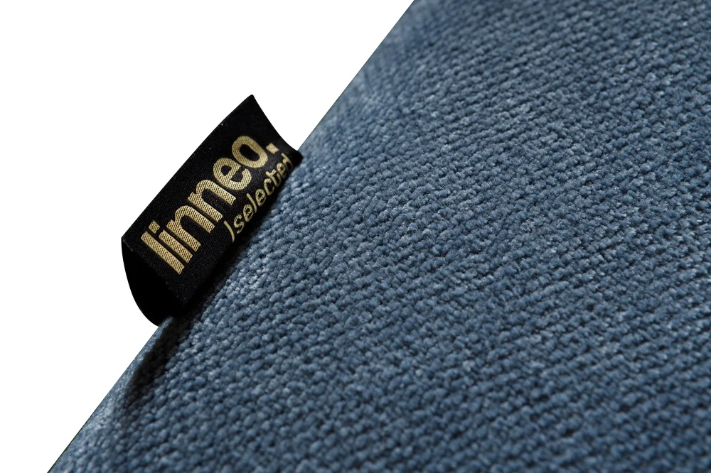 myagkaya-mebel-divany-divan-dizhon-2