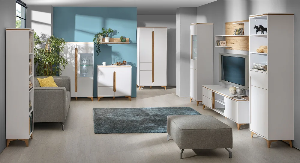 living-room-showcases-showcase-ga5-2