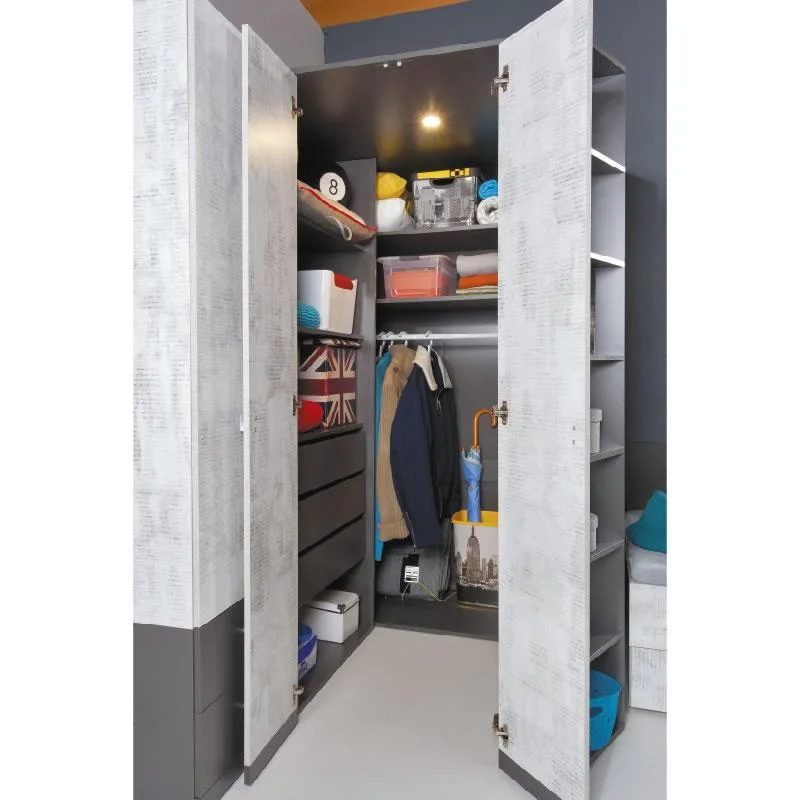 shkafy-uglovoy-shkaf-dlya-odezhdy-tablo-ta1-l-p-3
