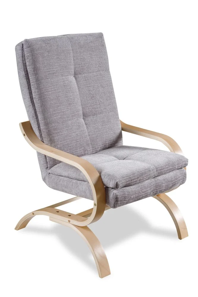 upholstered-furniture-lounge-chairs-lounge-chair-bingo-bis