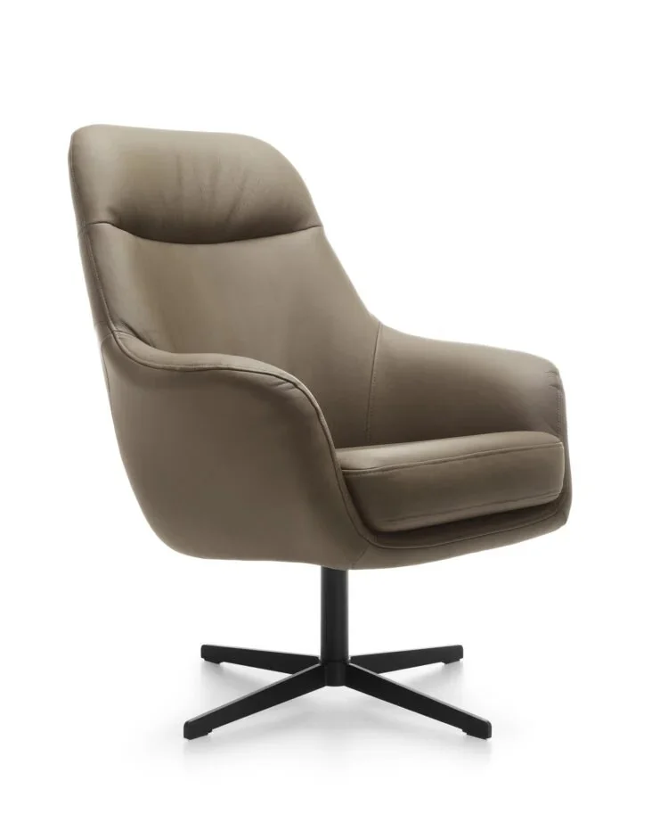 myagkaya-mebel-kresla-dlya-otdykha-kozhanoe-kreslo-polo