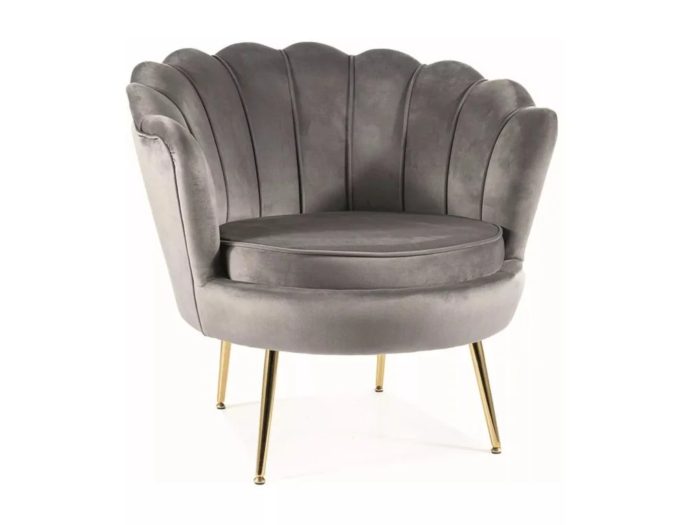 mikstas-mebeles-atputas-kresli-atputas-kresls-camellia-1