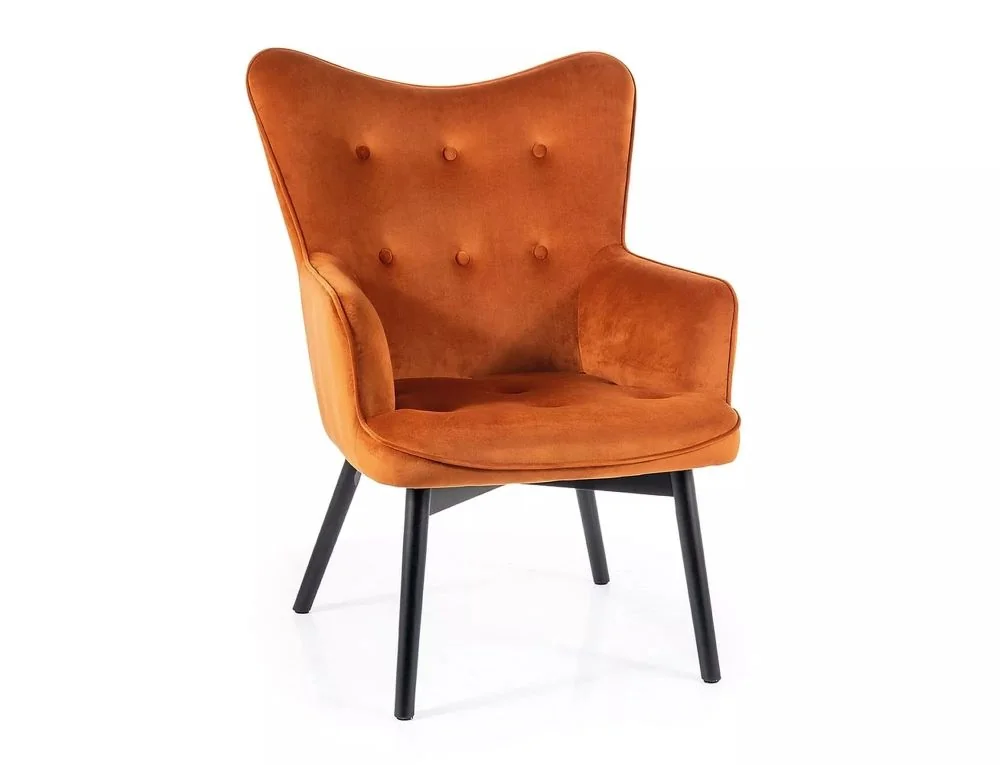 myagkaya-mebel-kresla-dlya-otdykha-kreslo-karmen