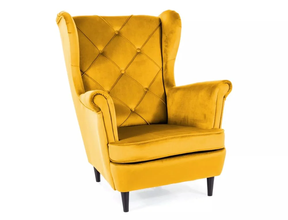 myagkaya-mebel-kresla-dlya-otdykha-kreslo-dlya-otdykha-ledi