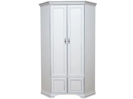 shkafy-uglovye-shkafy-uglovoy-shkaf-szfn2d