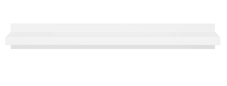 viesistaba-sienas-plaukti-sienas-plaukts-pol-100