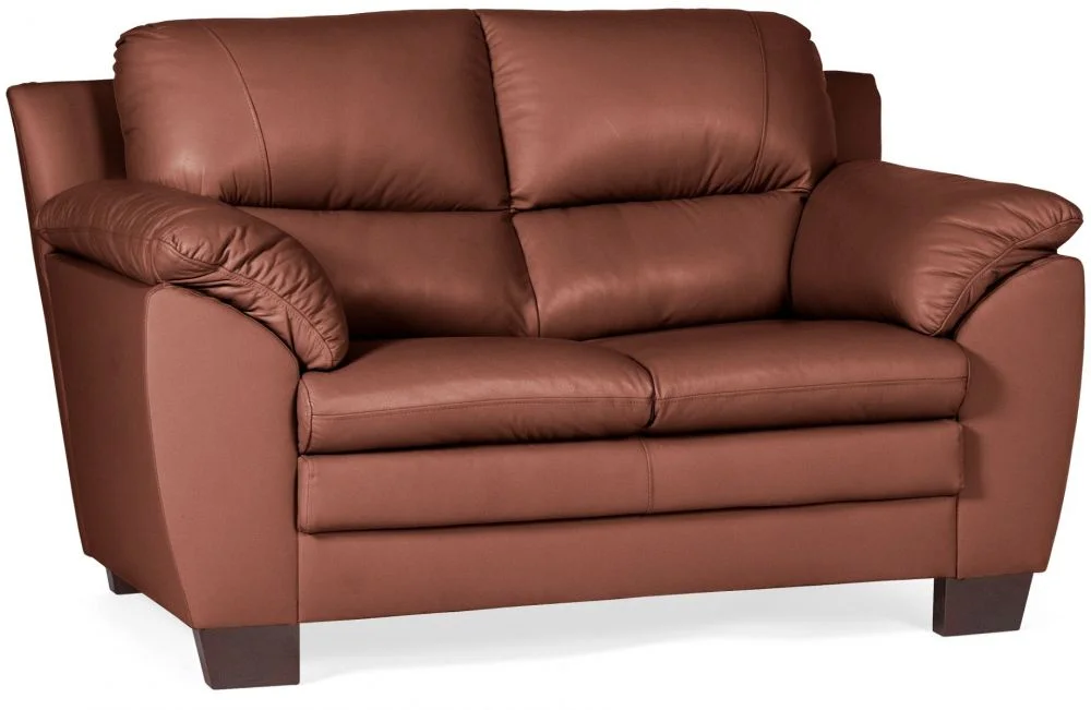 myagkaya-mebel-kozhanye-divany-divany-dvuspalnye-kozhanyy-divan-emma