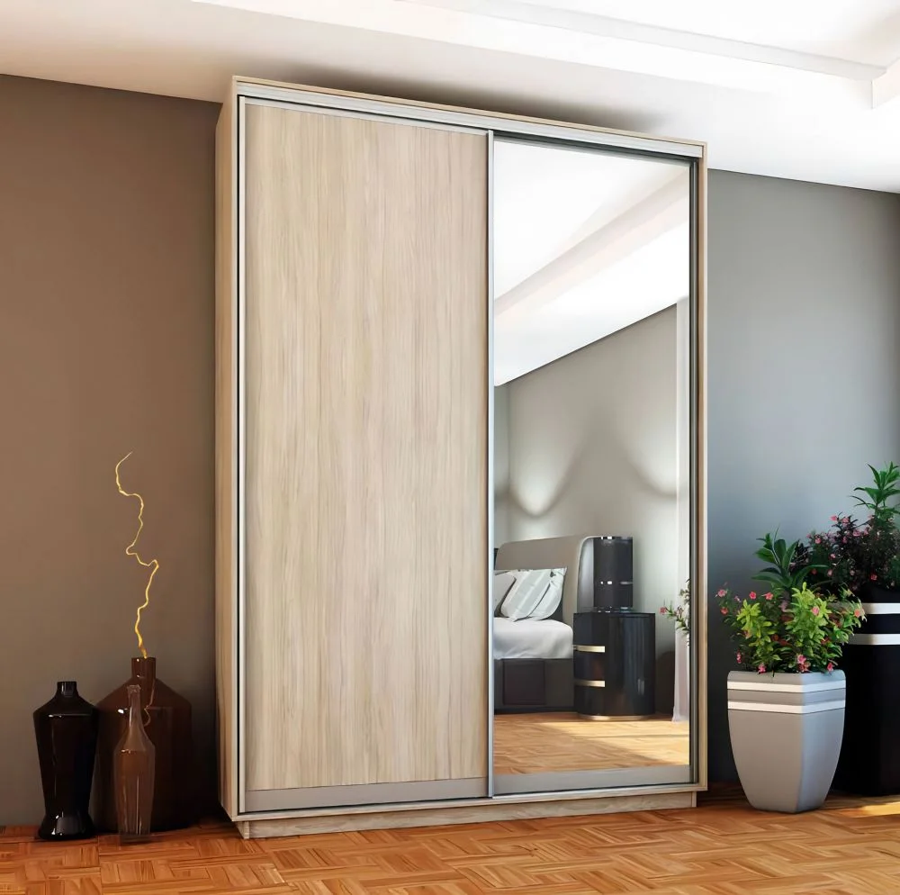 shkafy-dvukhdvernye-shkafy-shkaf-gt-100-160-60-220-s-zerkalom