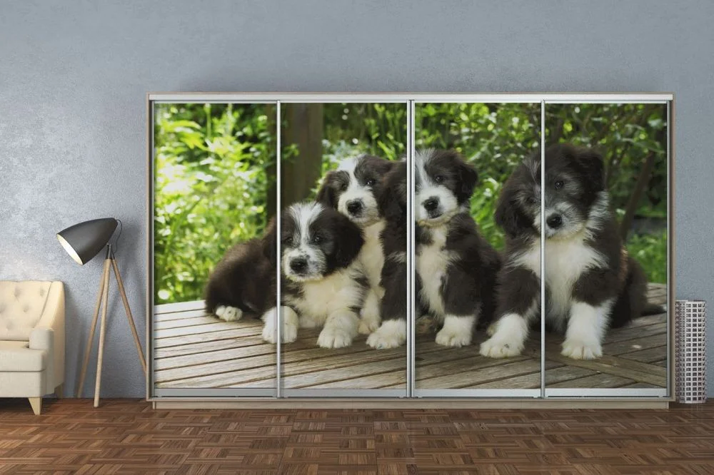 wardrobes-sliding-door-wardrobes-cabinet-gt-280-330-60-220-with-photo-wallpaper