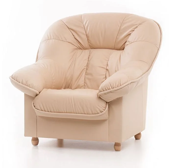 myagkaya-mebel-kozhanye-divany-divany-odnomestnye-kozhanoe-kreslo-aleksandra