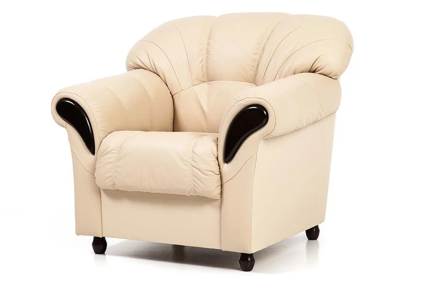 myagkaya-mebel-kozhanye-divany-divany-odnomestnye-kozhanoe-kreslo-rosa