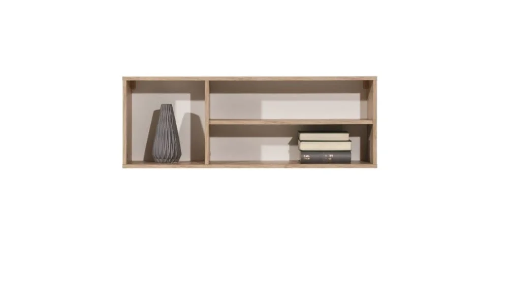 viesistaba-sienas-plaukti-sienas-plaukts-1100