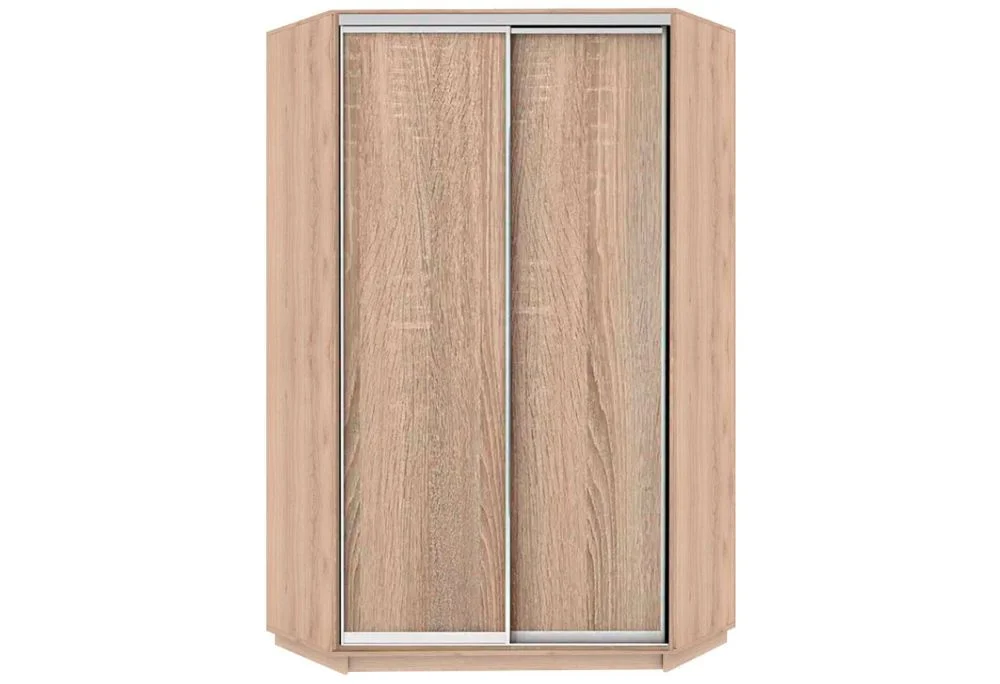 shkafy-dvukhdvernye-shkafy-uglovoy-shkaf-gt-110-150-45-240-s-dvertsey