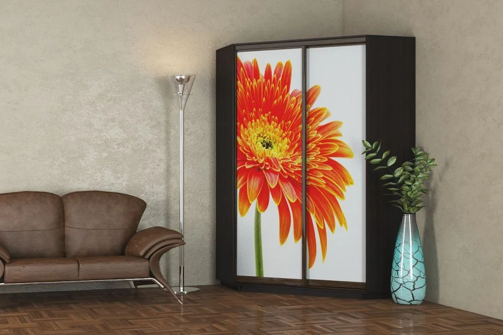 shkafy-uglovye-shkafy-uglovoy-shkaf-gt-110-150-45-220-s-fotooboyami