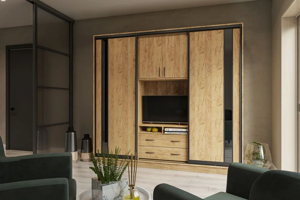 dlya-gostinoy-sektsii-sektsiya-universalnaya-240-45-220