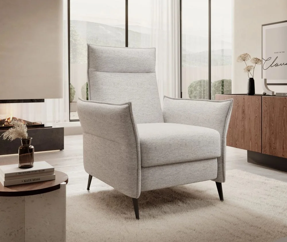 myagkaya-mebel-kresla-dlya-otdykha-kreslo-dlya-otdykha-xavi-1