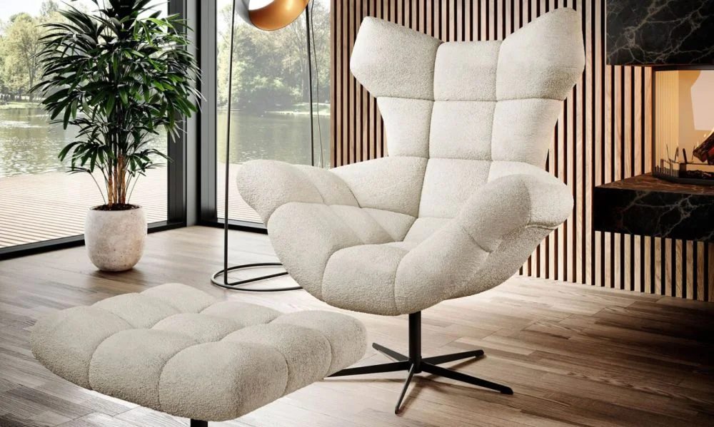 myagkaya-mebel-kresla-dlya-otdykha-kreslo-sensi