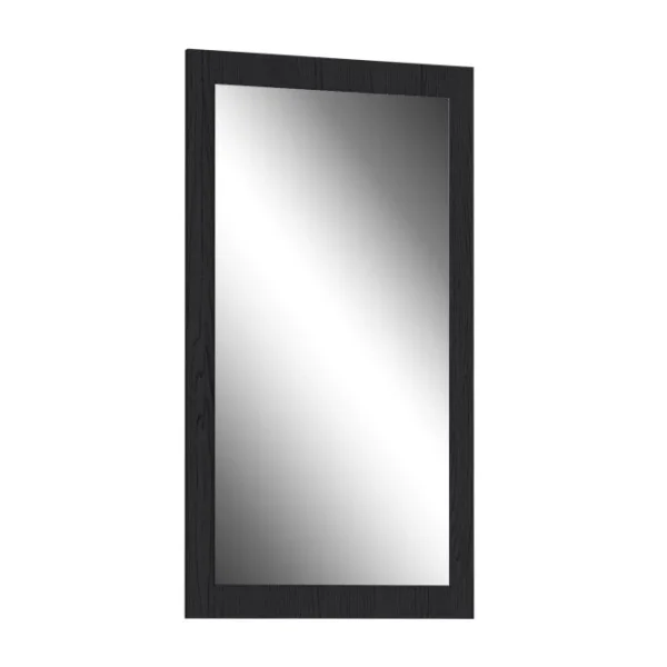 prikhozhaya-zerkala-zerkalo-tronkheym