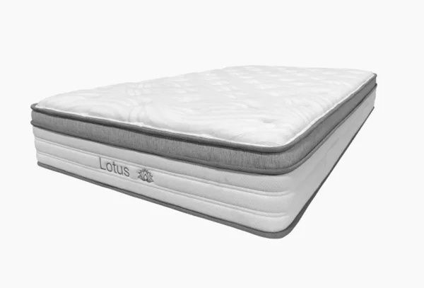 160-kh-200-matras-lotos-160-200