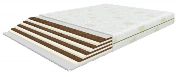 120-kh-200-matras-ergo-120