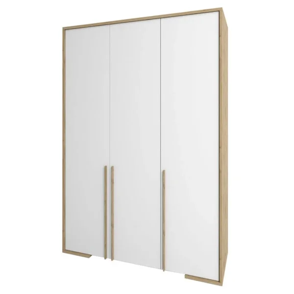 trekhdvernye-shkafy-francheska-garderob-3d