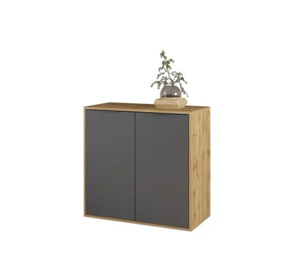 dlya-gostinoy-komody-komod-nitro-2d