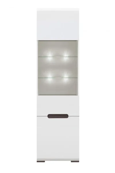 dlya-gostinoy-vitriny-vitrina-reg1w1d-015