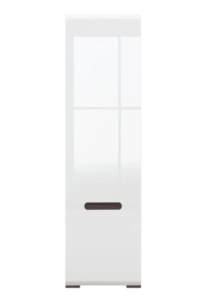 dlya-gostinoy-vitriny-garderob-szf1d-017